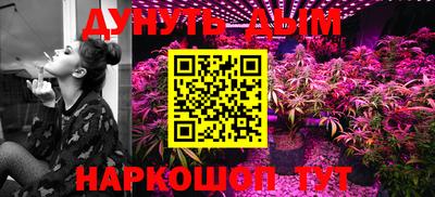 прущие грибы Ставрополь