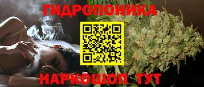 прущие грибы Ставрополь