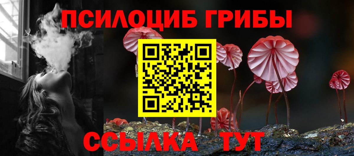Псилоцибиновые грибы Psilocybe  Псилоцибиновые грибы мухоморы  Вход с VPN  Нижнеудинск 
