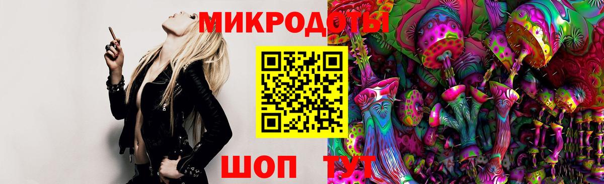 Псилоцибиновые грибы Psilocybe Нижнеудинск